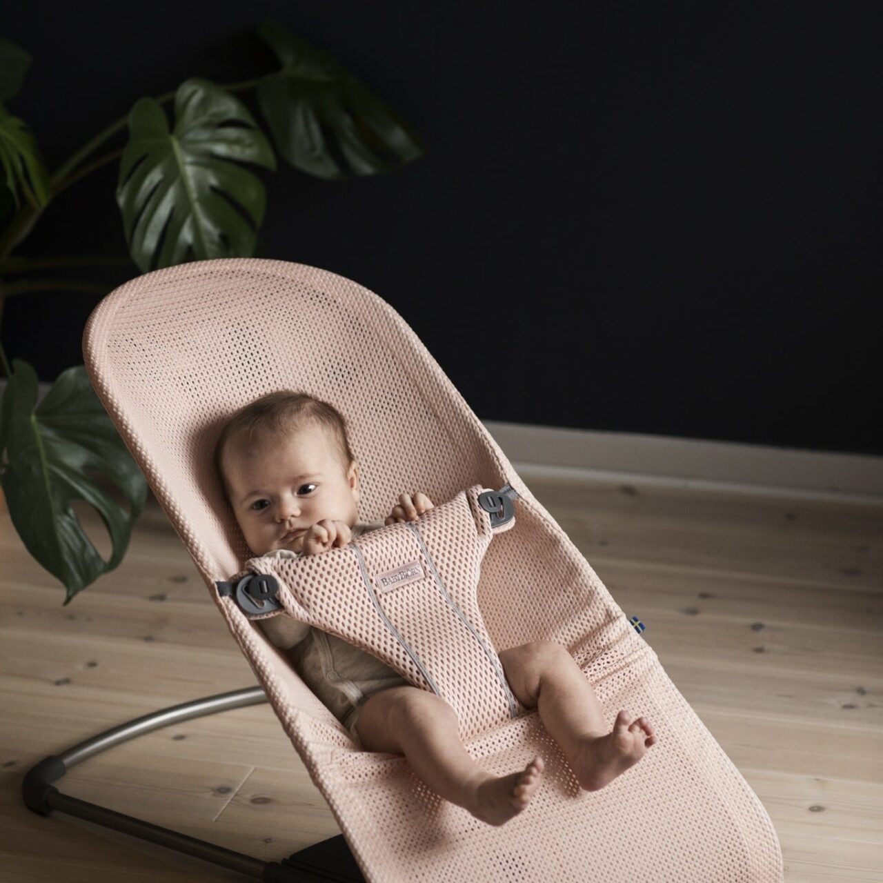 BabyBjörn ležaljka Bliss Mesh - Slika 2