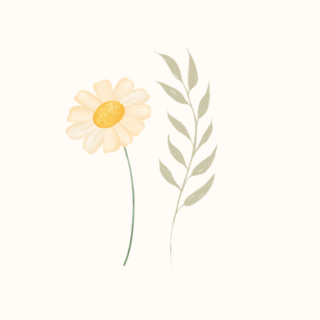Bloomy