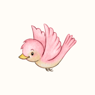 Lovely Birds